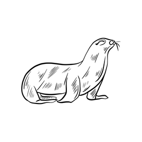 Cartoon seal black and white clipart