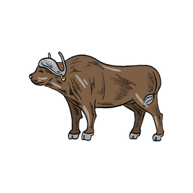 Buffalo cartoon clipart