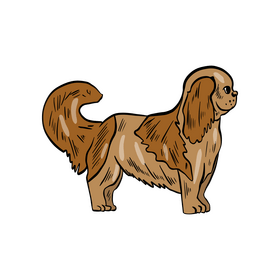 Cartoon lapdog clipart