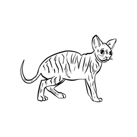 Sphinx black and white clipart