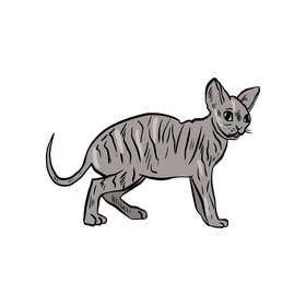 Sphinx clipart