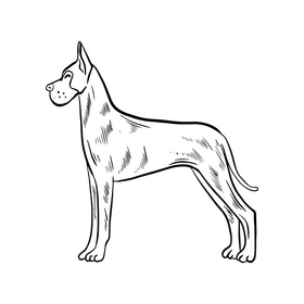 Great Dane dog black and white clipart