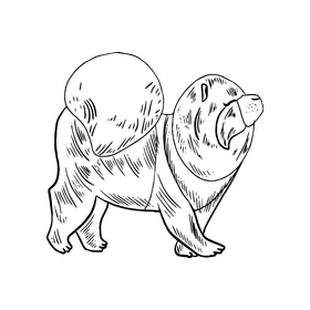 Dog black and white clipart