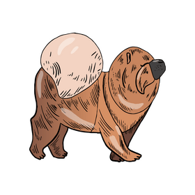 Dog clipart