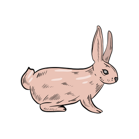 Rabbit clipart