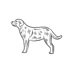 Dog black and white clipart