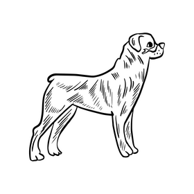 Dog black and white clipart