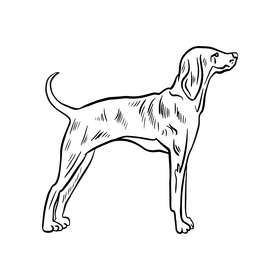 Dog black and white clipart free download