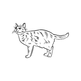 Cat black and white clipart