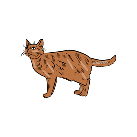 Cat clipart