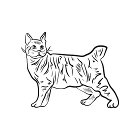 Cat black and white clipart free download