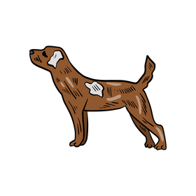 Dog cartoon pet clipart