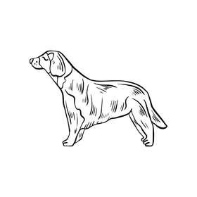 Free dog pet black and white clipart