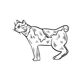 Cat pet black and white clipart