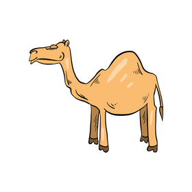 Cute camel drawing clipart