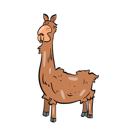 Llama illustration clipart