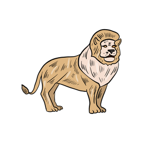Free lion cartoon clipart