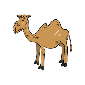 Free camel illustration clipart