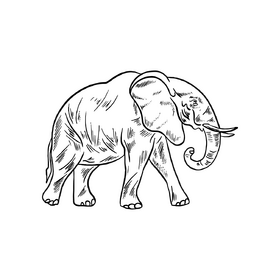 Cartoon elephant black and white clipart