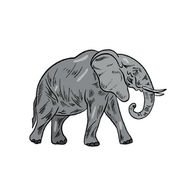 Cartoon elephant clipart