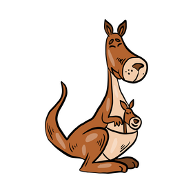 Kangaroo cartoon animal clipart