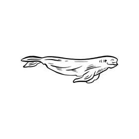 Seal black and white clipart