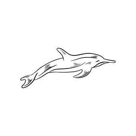 Free dolphin black and white clipart
