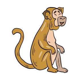 Monkey animal cartoon clipart