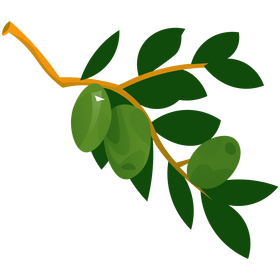 Greek olives branch clipart