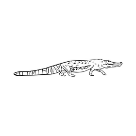 Free crocodile black and white clipart