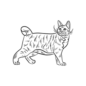 Cat cartoon black and white clipart