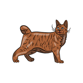 Cat cartoon clipart