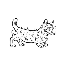 Cute cat pet drawing black and white clipart