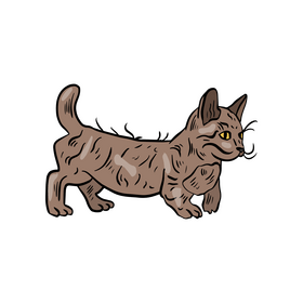 Cute cat pet drawing clipart