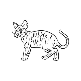 Cartoon cat black and white clipart