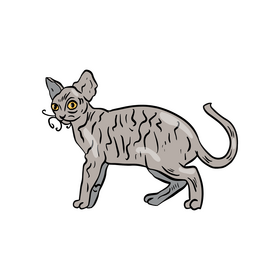 Cartoon cat clipart