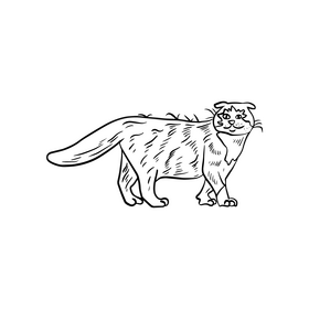 Cute cartoon drawing black and white clipart