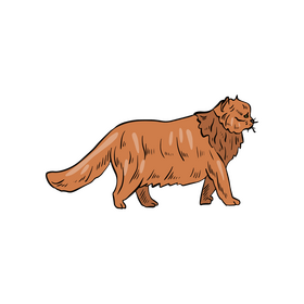 Free cat illustration clipart