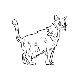 Cat pet illustration black and white clipart