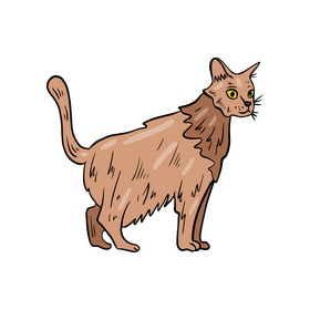 Cat pet illustration clipart