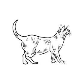 Cat cartoon animal black and white clipart