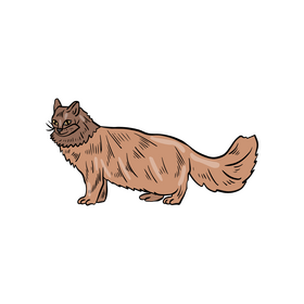 Cute cat animal clipart