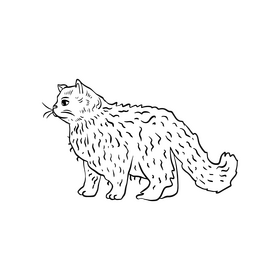 Cat pet illustration black and white clipart