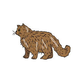 Cat pet illustration clipart