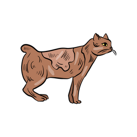 Cat animal illustration clipart