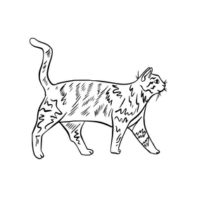 Cat pet illustration black and white clipart