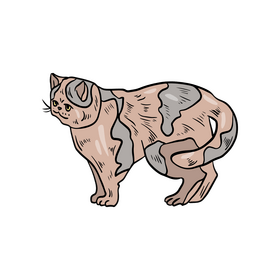 Cat animal illustration clipart