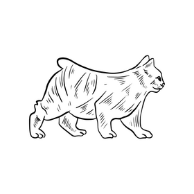 Free cartoon cat animal black and white clipart