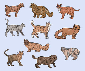 Free cartoon cats vector