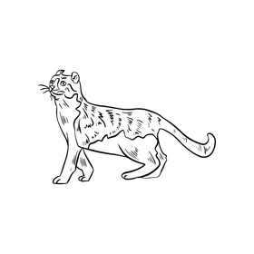 Free cartoon cat animal black and white clipart